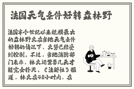 果冻传媒91cm白晶晶手表